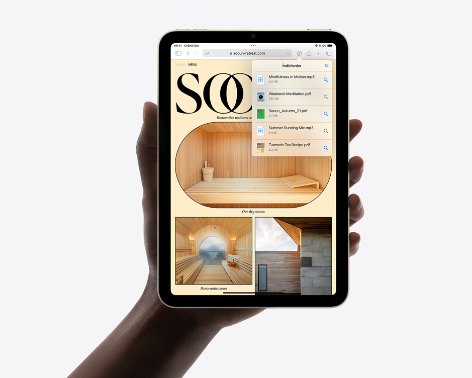 iPad mini’de Safari uygulaması