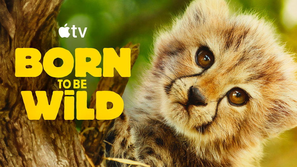 “Born to be Wild” key art
