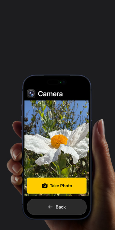 iPhone 17 Pro-scherm met vereenvoudigde interface van de Camera-app met een witte bloem in het frame, de knop Maak Foto en de knop Terug eronder