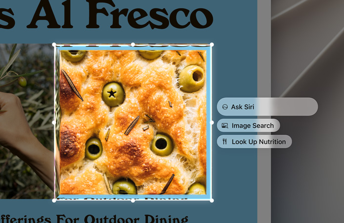Captura de tela de um prato de comida, com uma bolha do recurso Pergunte à Siri oferecendo as opções de pesquisar a imagem ou consultar as informações nutricionais