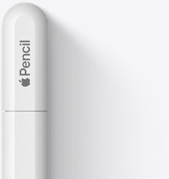 The top of Apple Pencil USB-C is shown with a rounded top, the Apple logo and the word Pencil. The tip shows a line to represent where the cap slides open to allow connection to a USB-C cable.