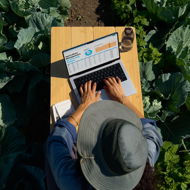 Bird's-eye view of a woman in a wide-brim hat working on a business presentation on a MacBook, sitting at a table in a garden.