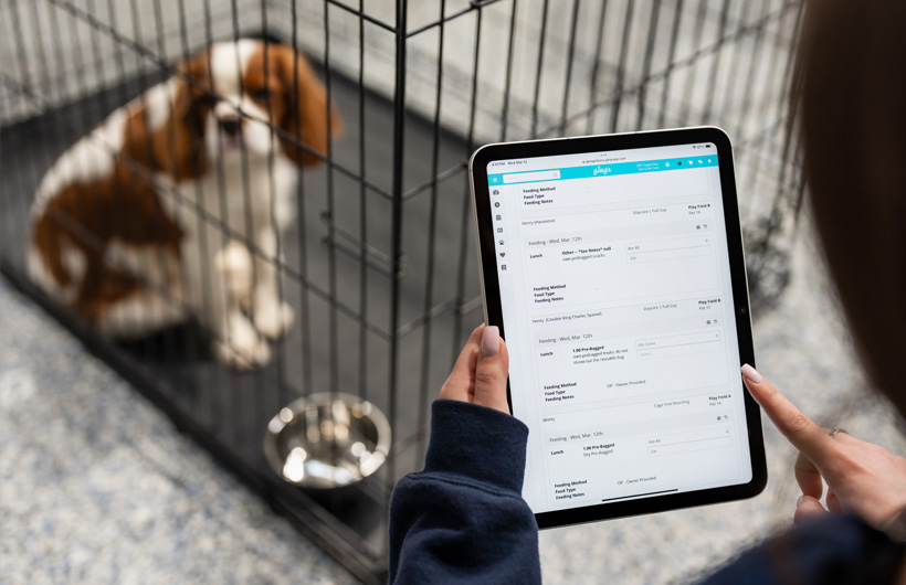Auf dem iPad können Tierpfleger:innen mit der App Gingr, die für die Verwaltung von Unternehmen in der Tierbranche entwickelt wurde, den Zustand der Tiere wie Futteraufnahme und Einnahme von Medikamenten in Echtzeit aktualisieren.