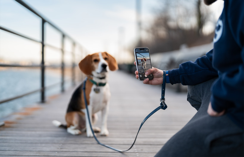 Die aussergewöhnliche Qualität der iPhone Kamera lässt die Haustierberichte für die Tierbesitzer:innen noch besser aussehen.
