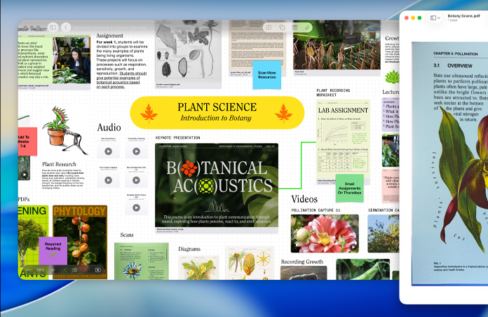 A plant science Freeform board on Mac, organised with audio, videos and research, alongside a Preview window of a PDF, demonstrating easy productivity