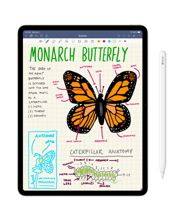 iPad screen displaying a hand-drawn Monarch Butterfly diagram alongside Apple Pencil, demonstrating creativity