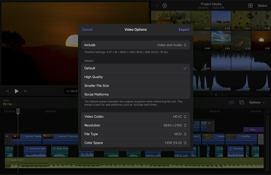 iPad 版 Final Cut Pro 的選單，展示可分享的或運算的各種影片預設格式。