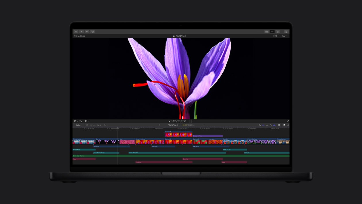 HDR en un MacBook Pro de 16 pulgadas, primer plano de una flor morada con estambres rojos