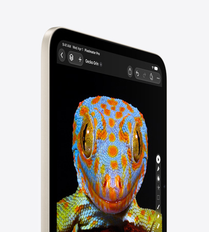 iPad mini, front view in Starlight colour, displaying a close-up image of a Grey Crowned Crane, side view, black, white and yellow feathers, red face and beak, black feathers around eye, dark background.
