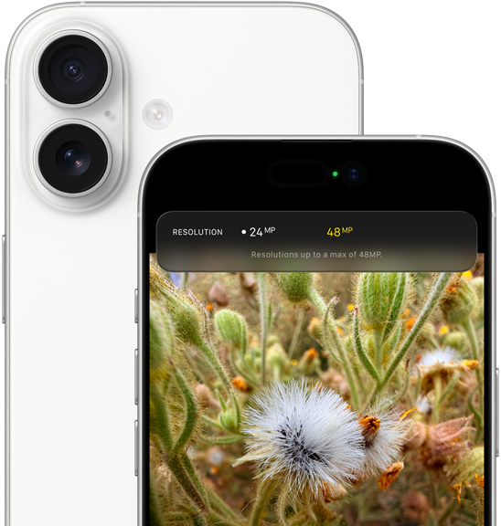 iPhone 17, вид ззаду, заокруглені кути, система двох камер Fusion угорі ліворуч, білий колір, вид спереду, Dynamic Island, заокруглені кути