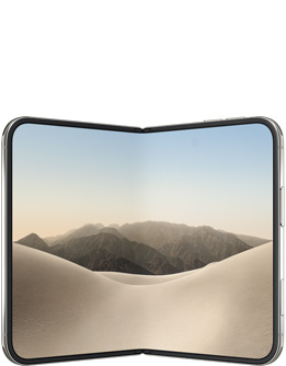 iPhone Duo