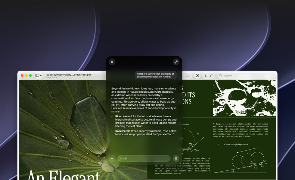 Siri and Visual Intelligence demo, user query for a topic in a PDF on a Mac screen, What are some other examples of superhydrophobicity in nature?, Siri response