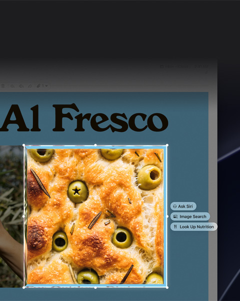 Visual Intelligence using the onscreen image analysis feature