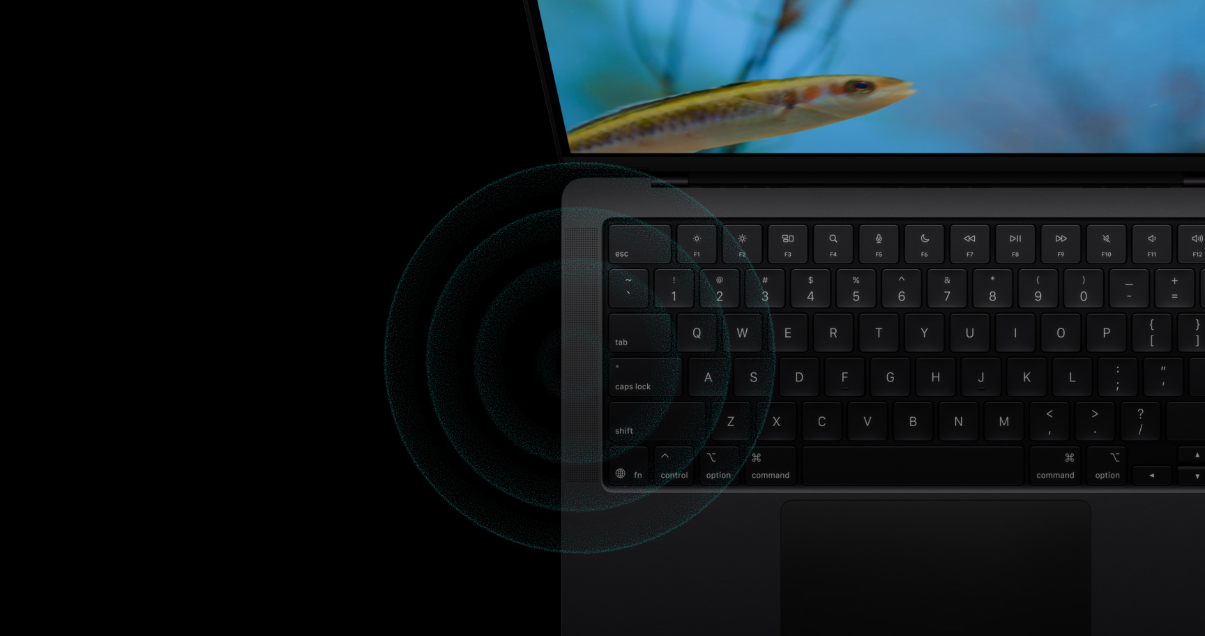 產品檢視器音訊備用圖像